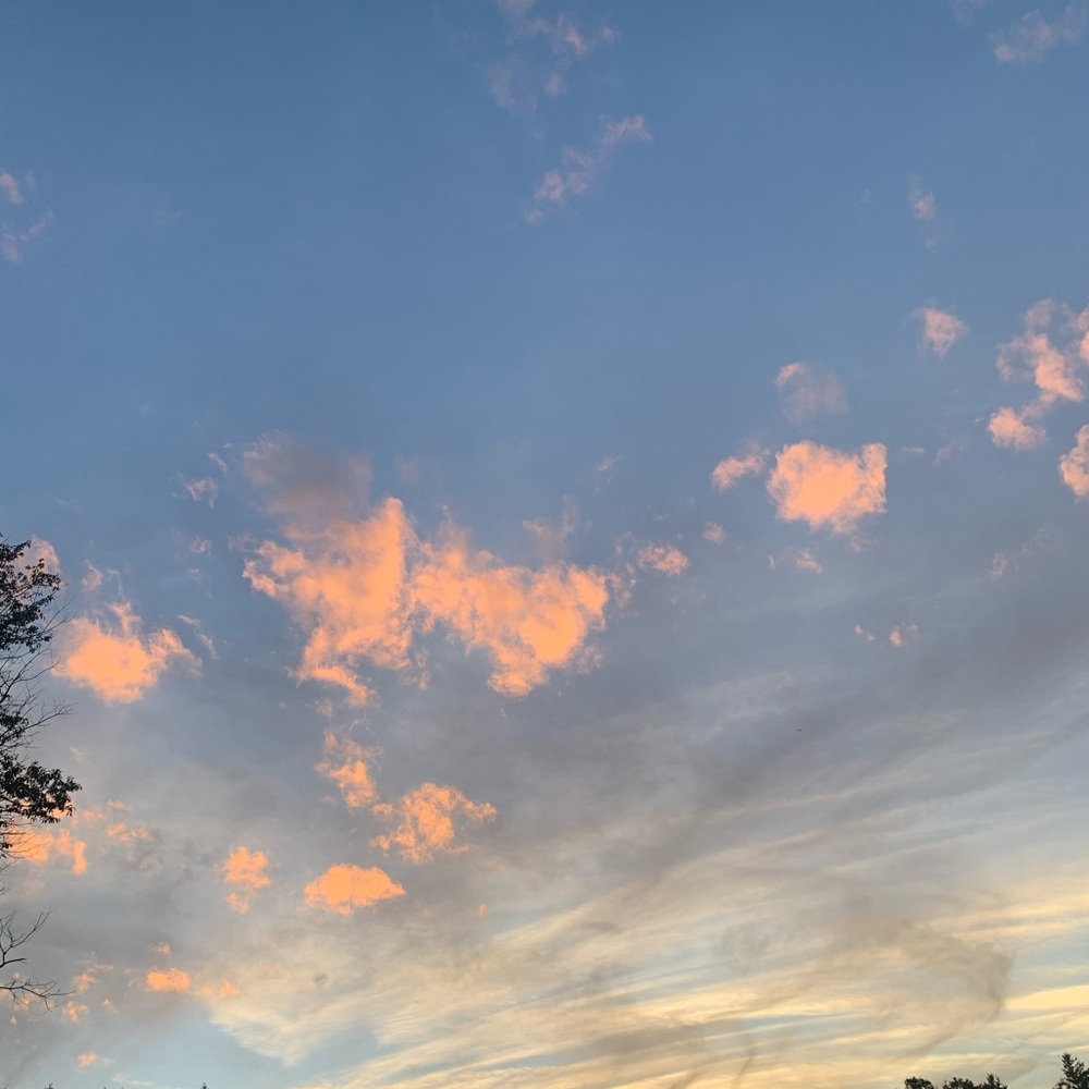 READ DESCRIPTION FOR AN ANNOUNCEMENT ON DISCOUNTS